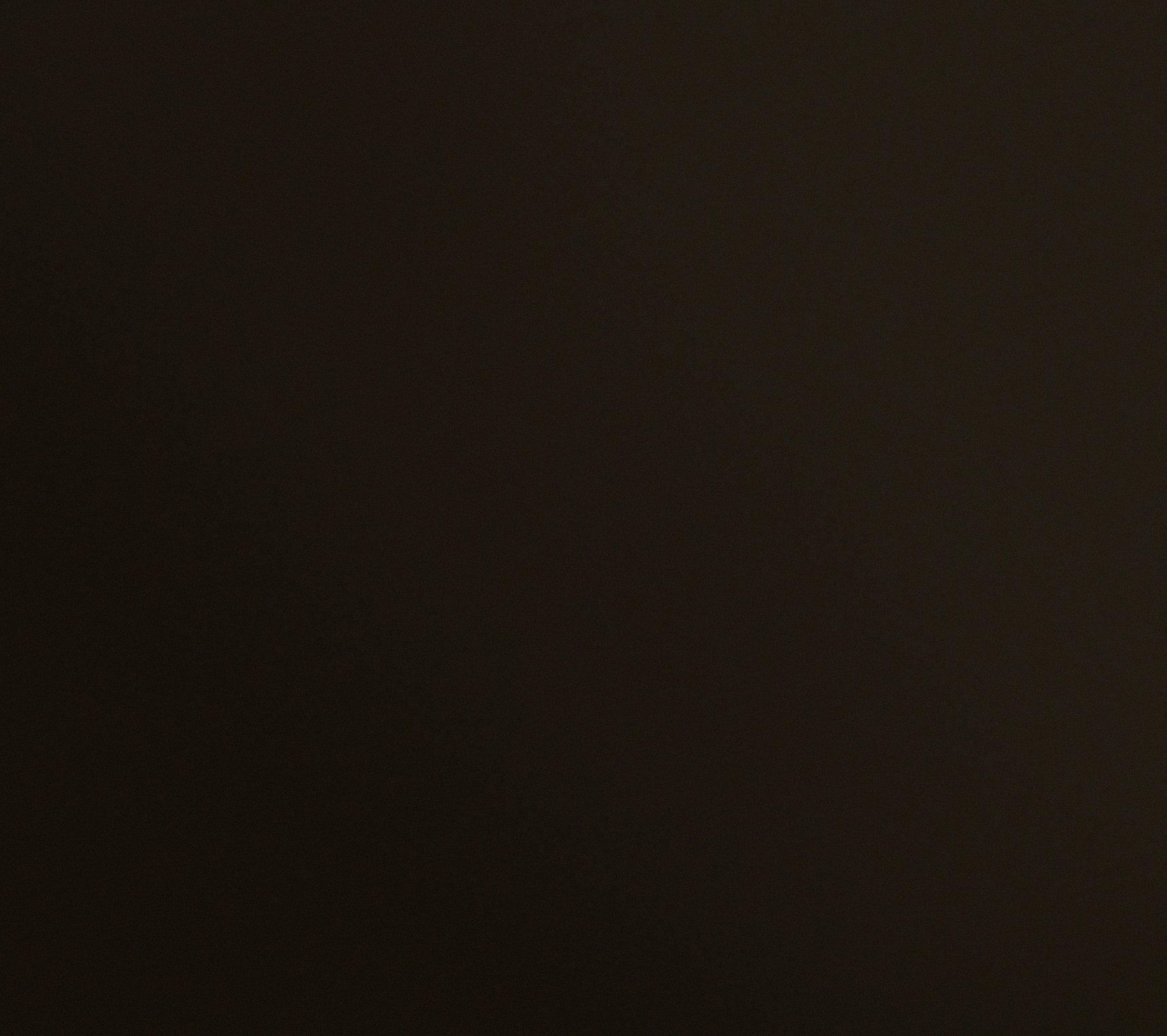 Copia di marrone sabbiato.jpg