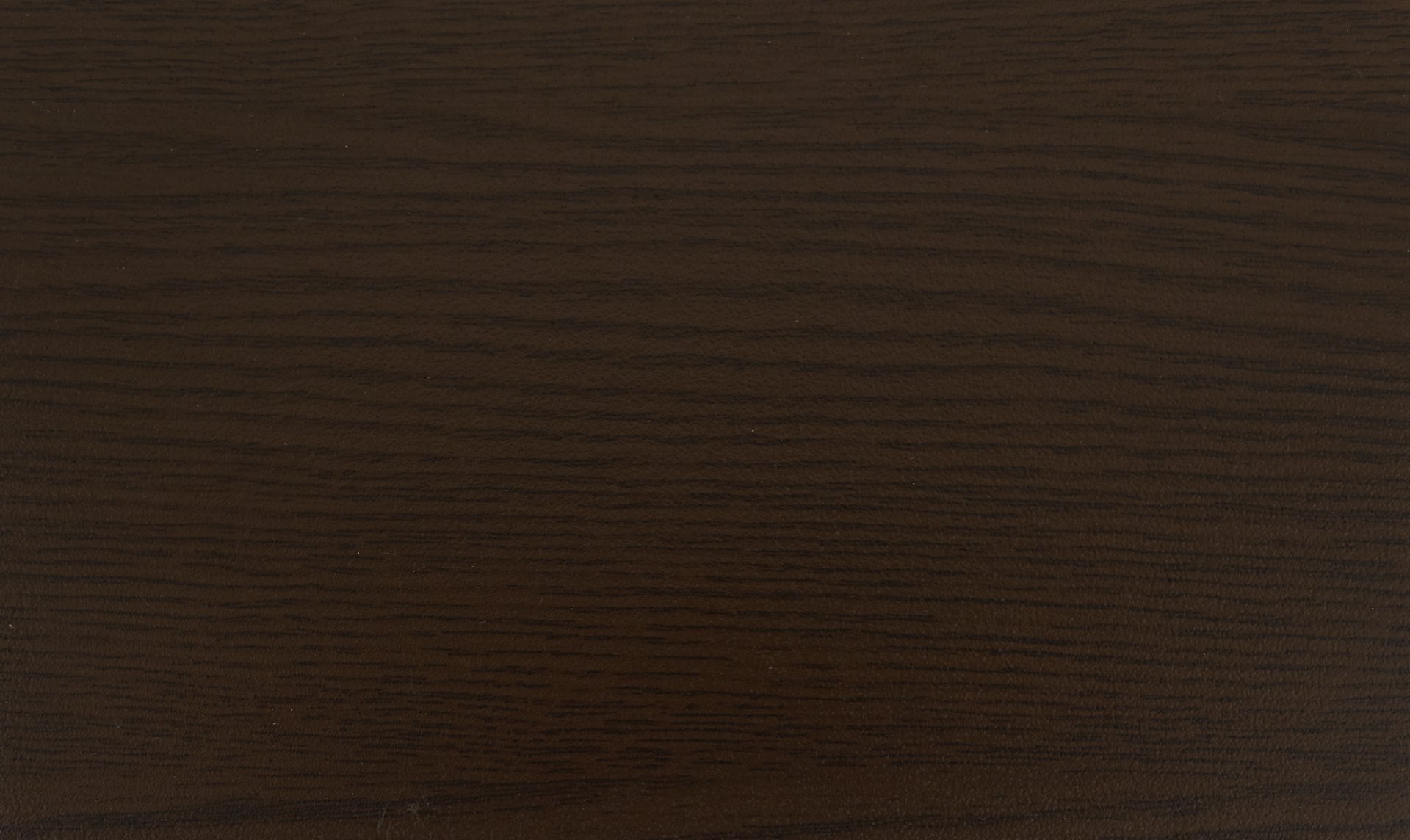 Rovere di palude.jpg